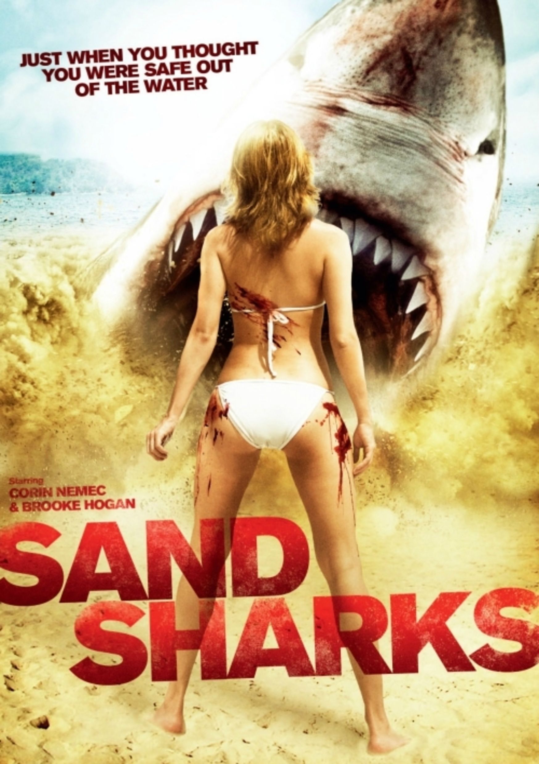 SandShark.jpg