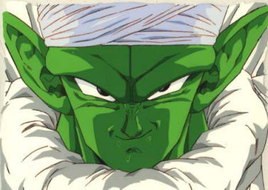 Piccolo.jpg